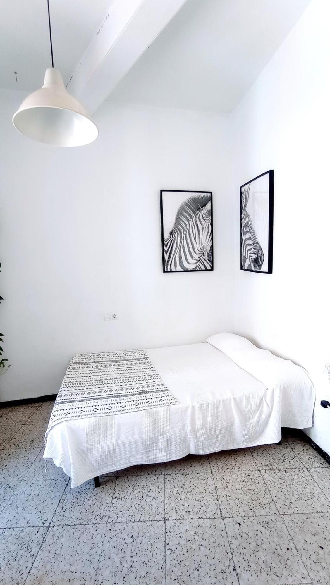 Preciosa En Pleno Centro De Ideal Hacer Turismo Y Vivir La Ciudad Homestay Seville