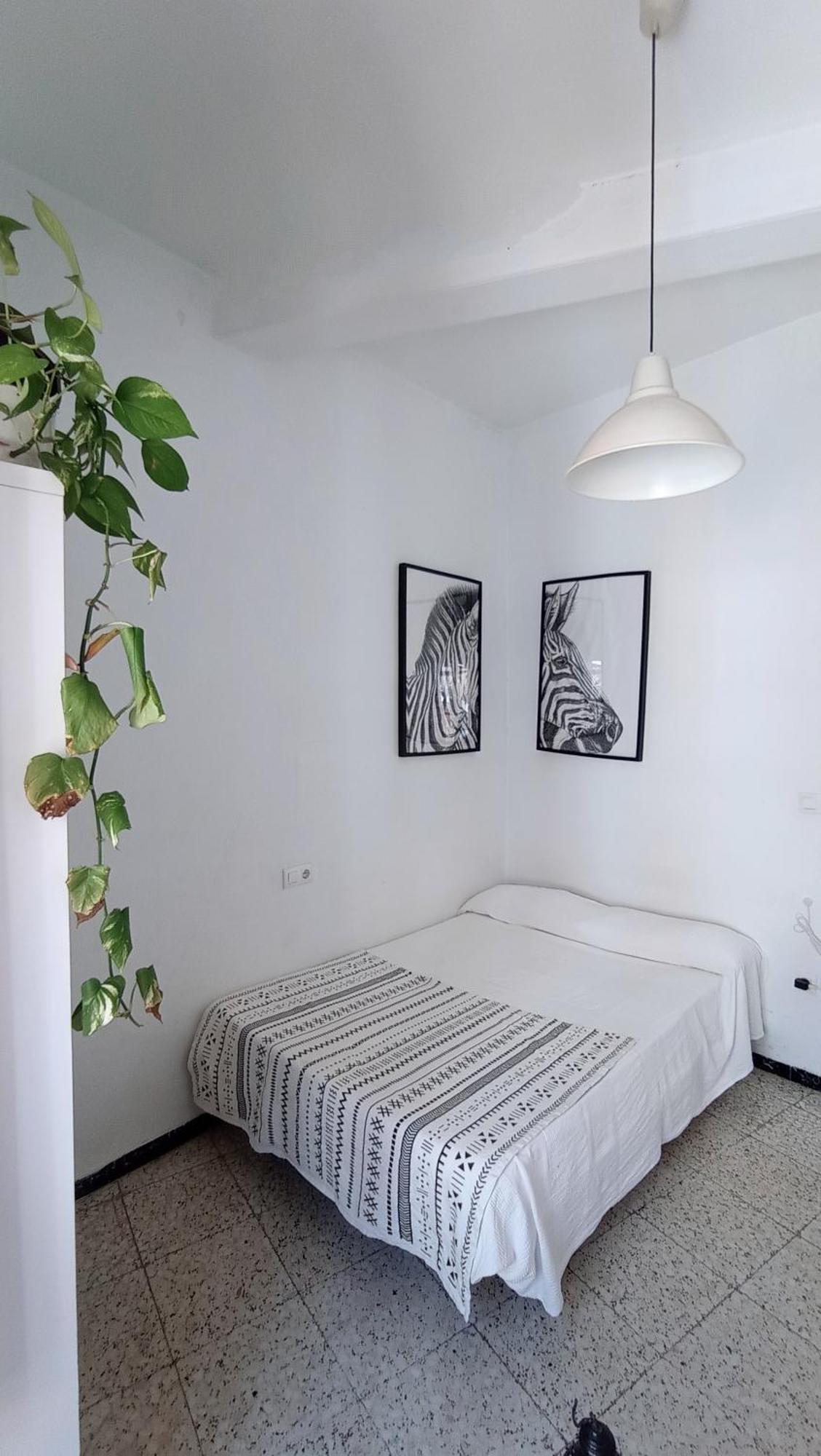 Quarto em Acomodações Particulares Preciosa En Pleno Centro De Ideal Hacer Turismo Y Vivir La Ciudad Sevilha